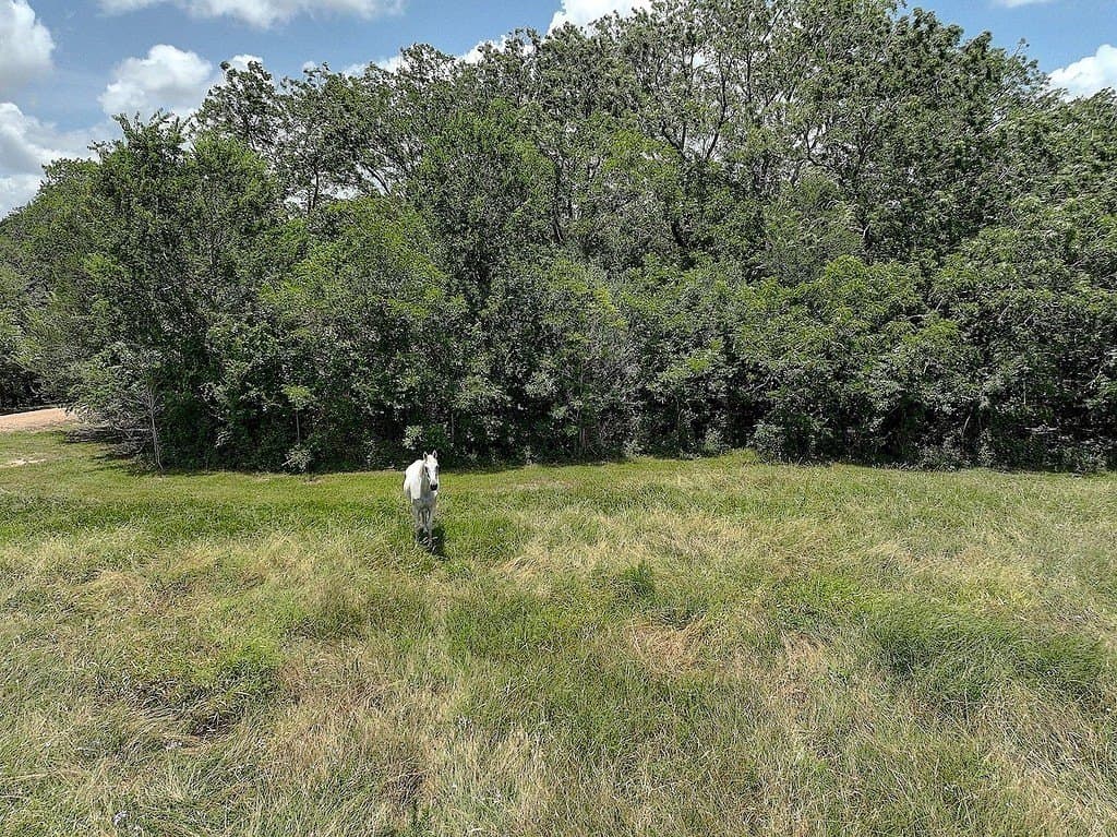 21.94 acres in Fayette County - photo 11
