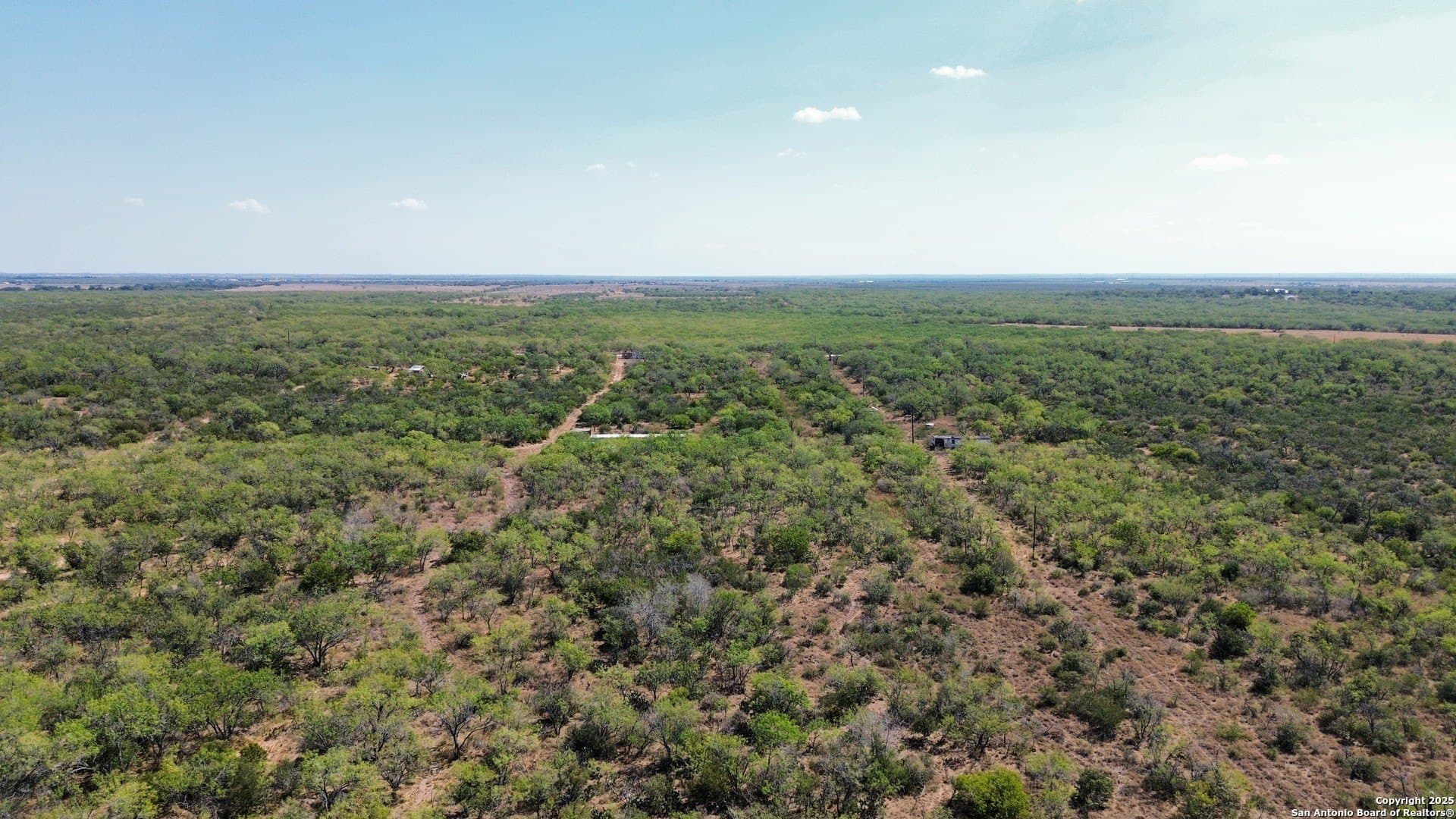 10.2 acres in Atascosa County gallery image 3