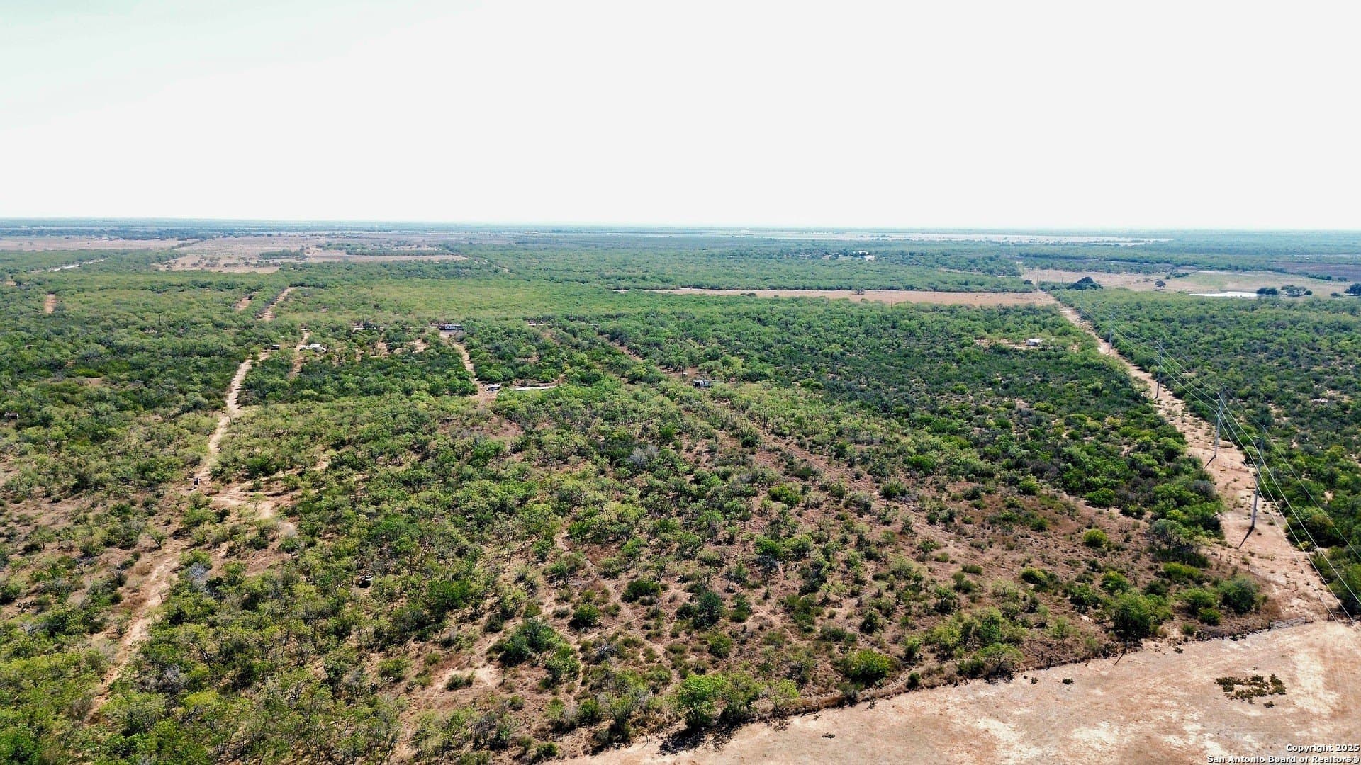 10.2 acres in Atascosa County gallery image 4