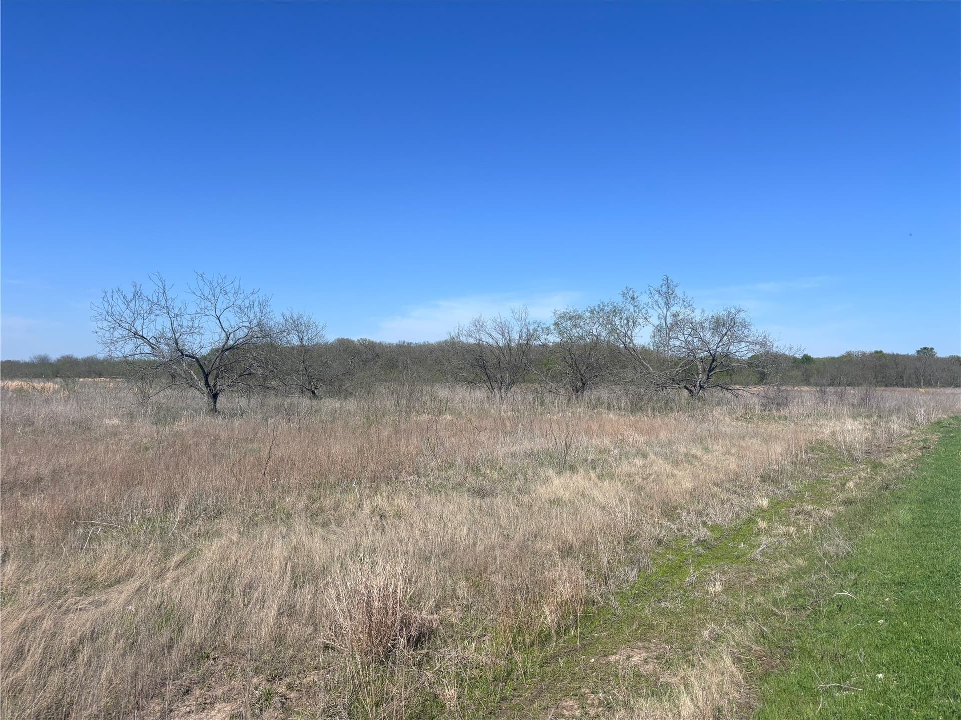 10.01 acres in Hill County - photo 4