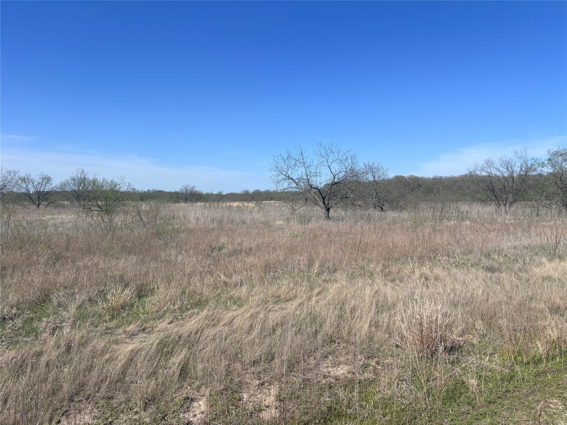10.01 acres in Hill County - photo 3