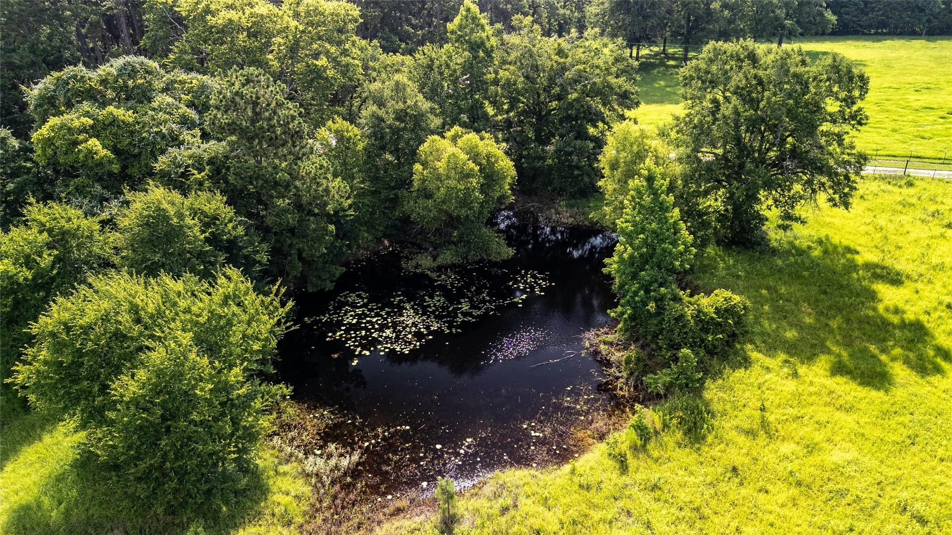 42.5 acres in Houston County - photo 15