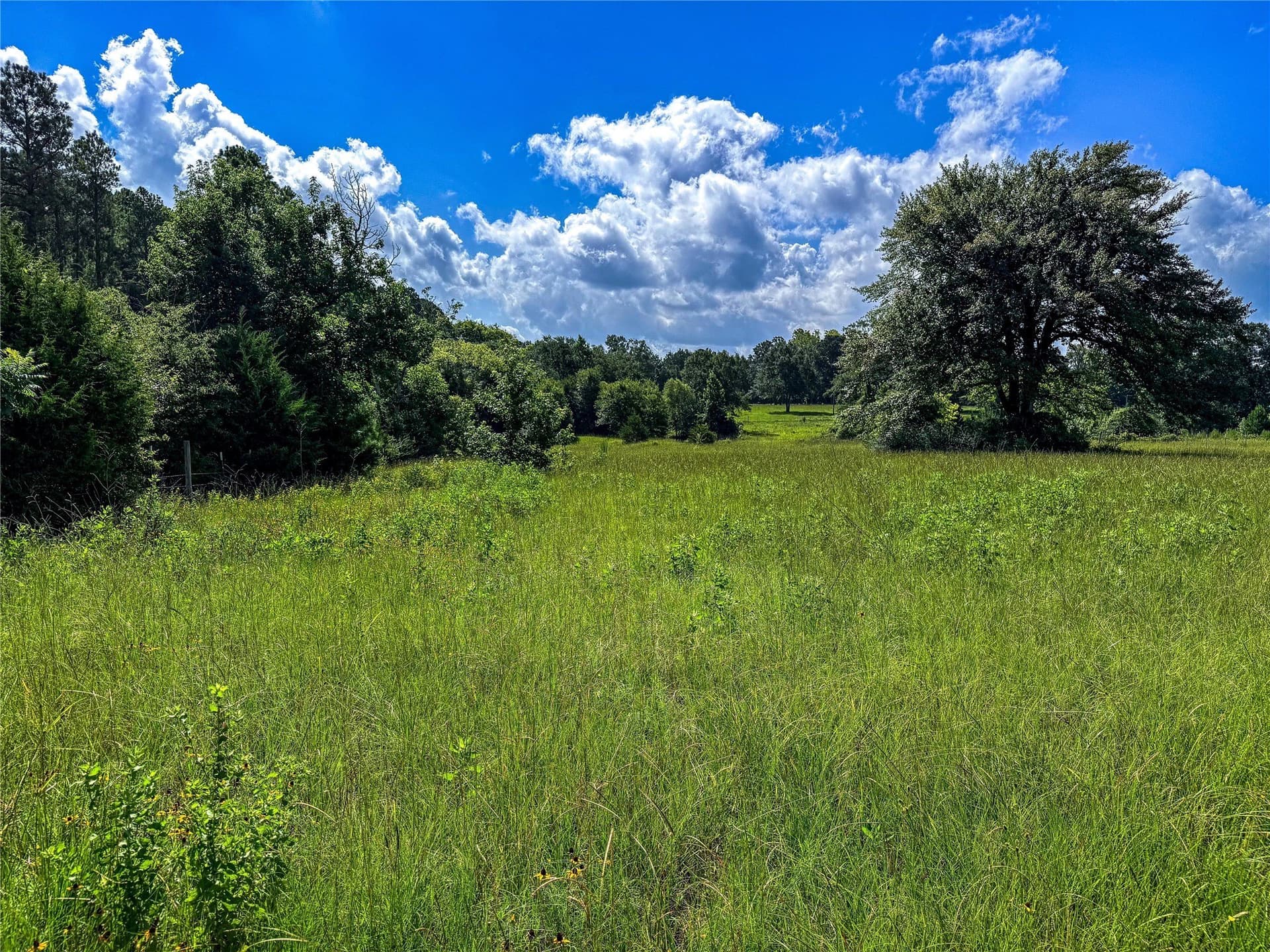 42.5 acres in Houston County - photo 27