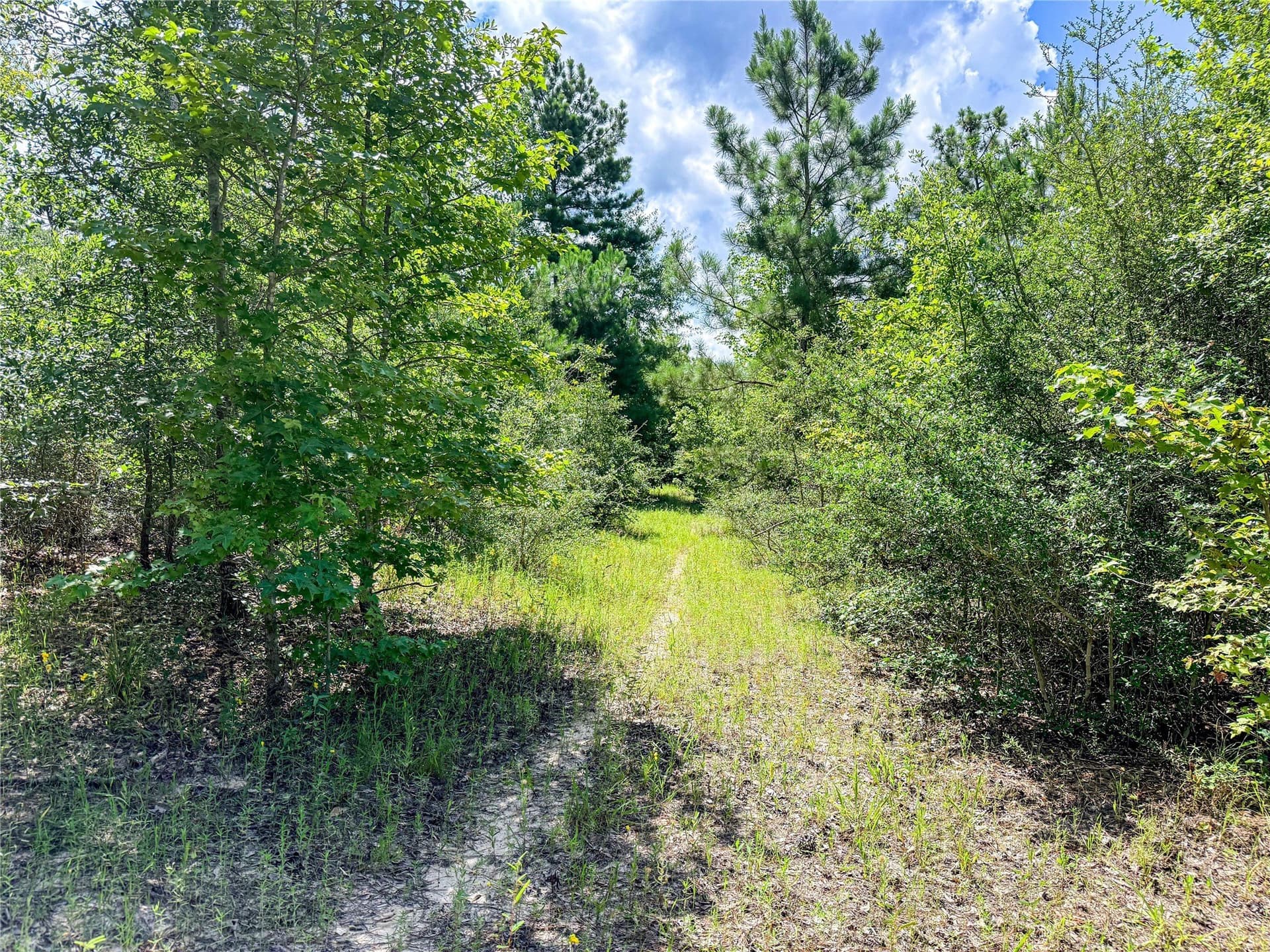 42.5 acres in Houston County - photo 20