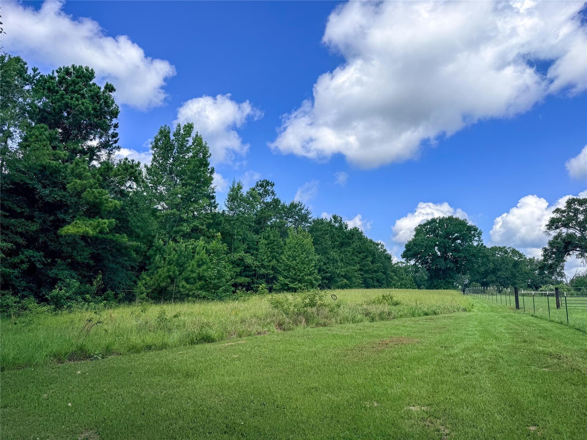 42.5 acres in Houston County - photo 33