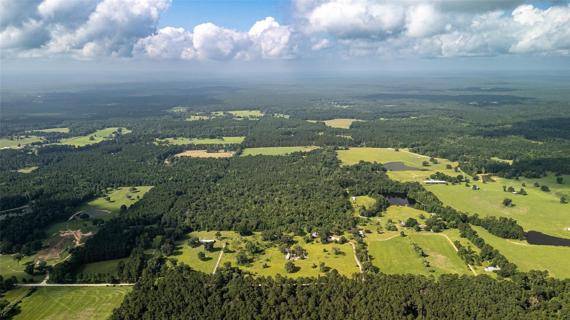 42.5 acres in Houston County - photo 14