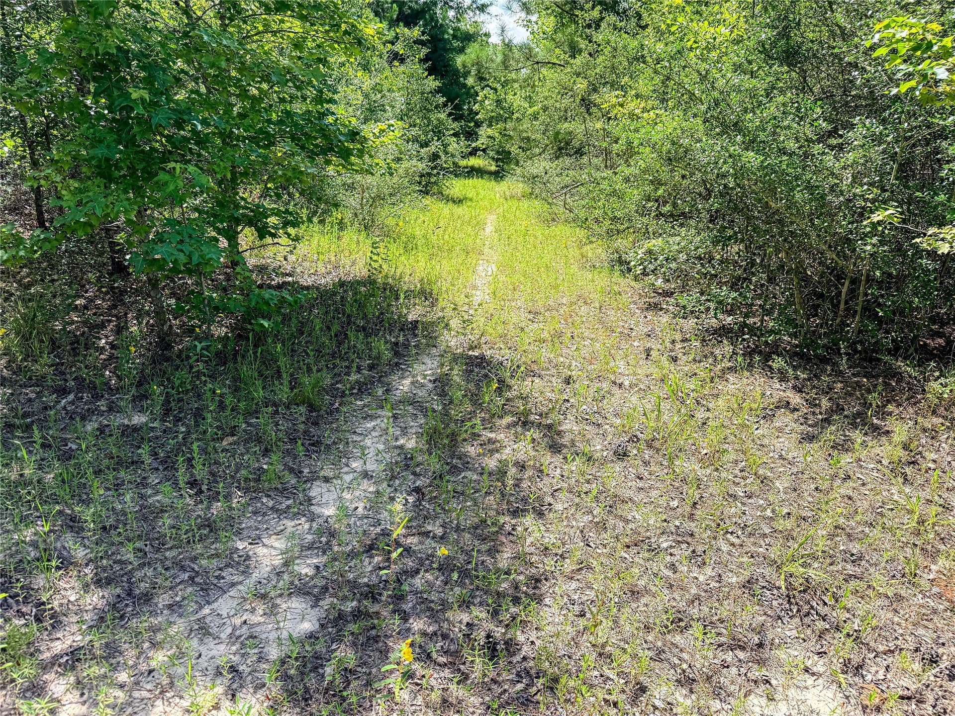 42.5 acres in Houston County - photo 37