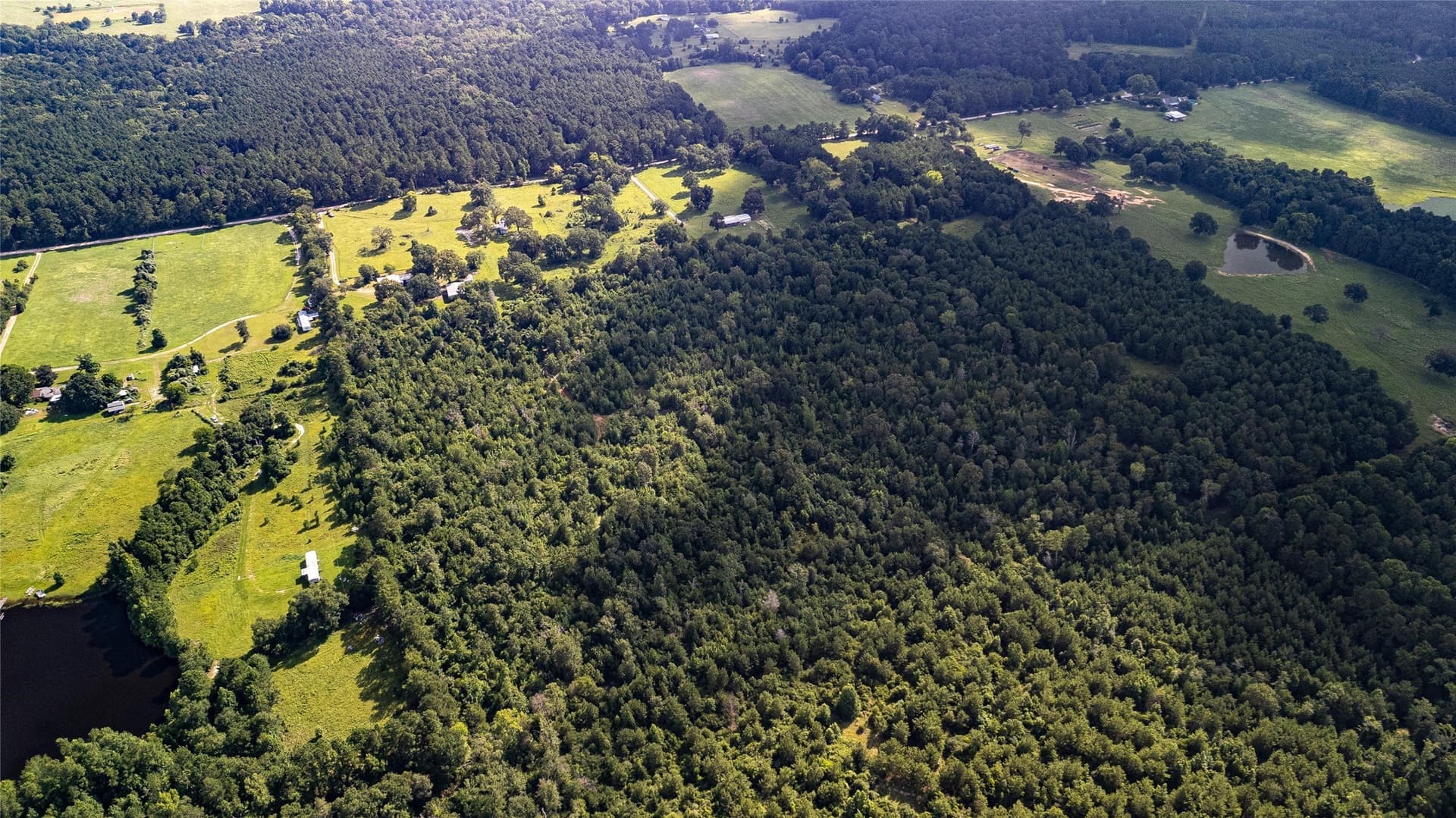 42.5 acres in Houston County - photo 6