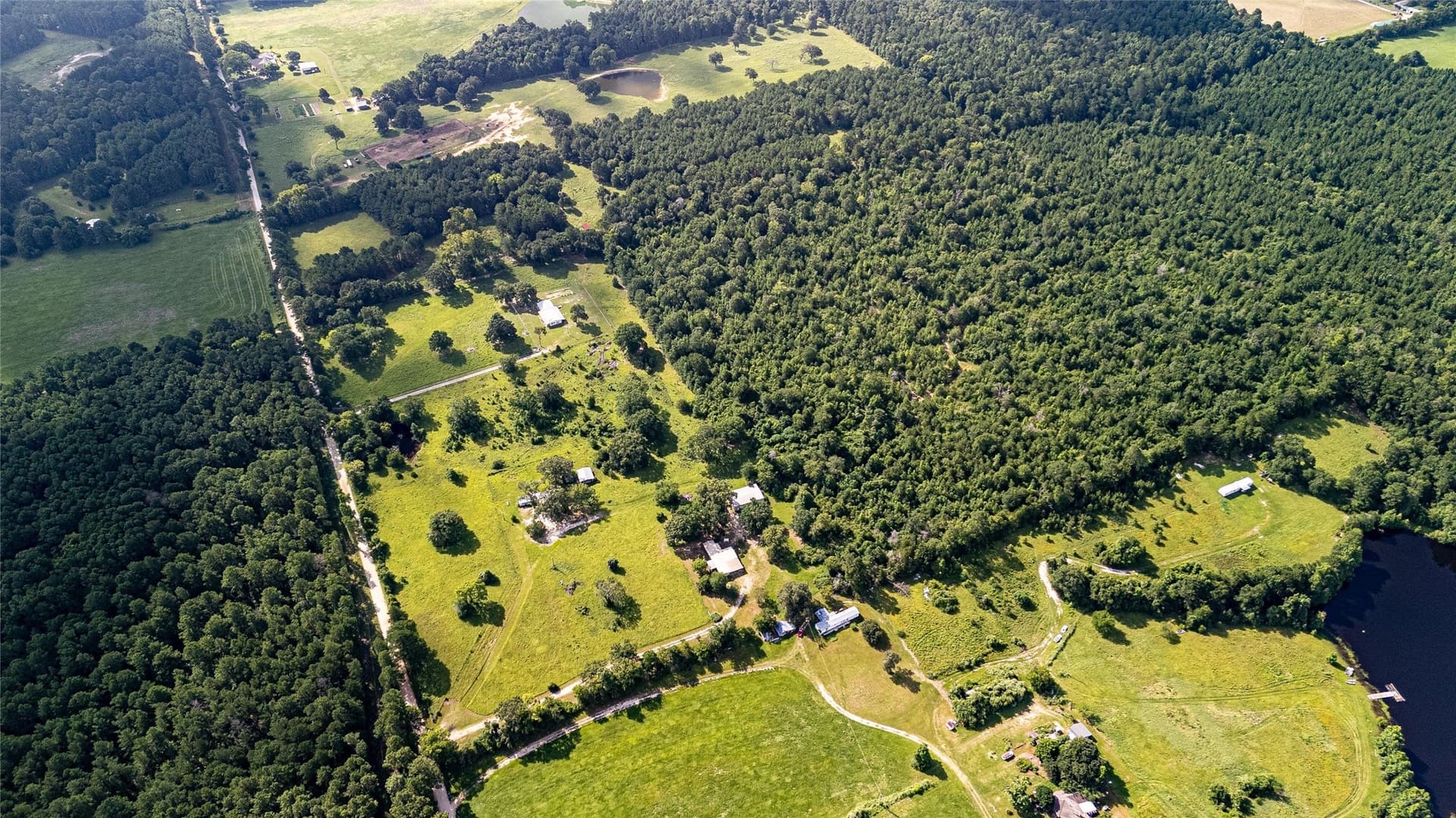 42.5 acres in Houston County - photo 10