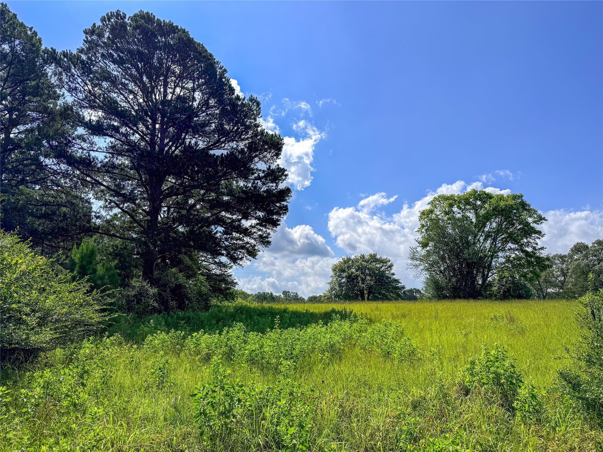 42.5 acres in Houston County - photo 24