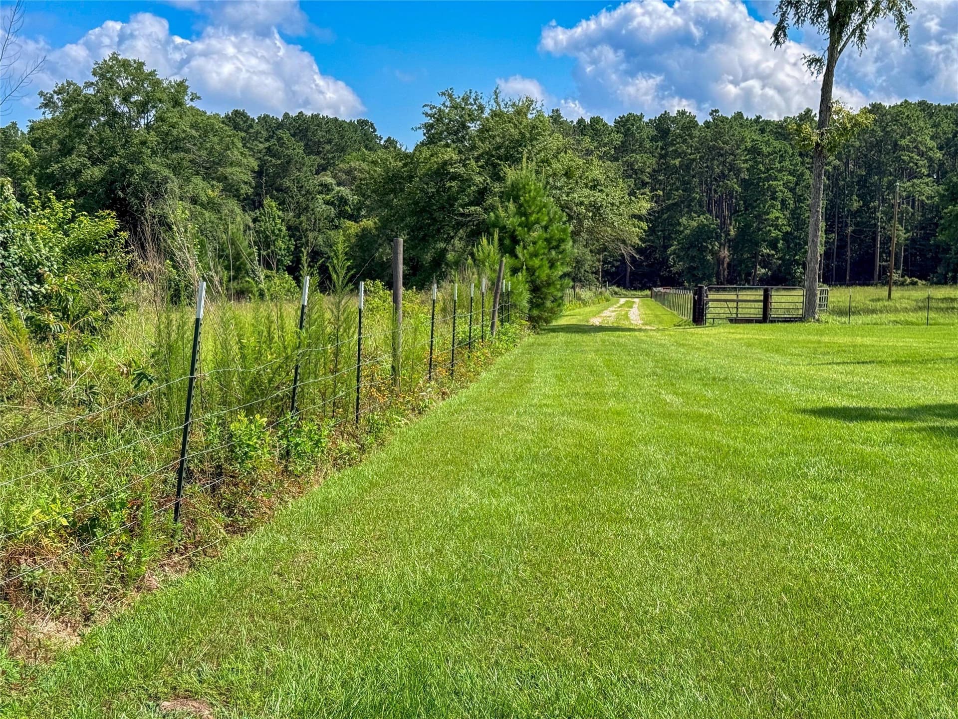 42.5 acres in Houston County - photo 31