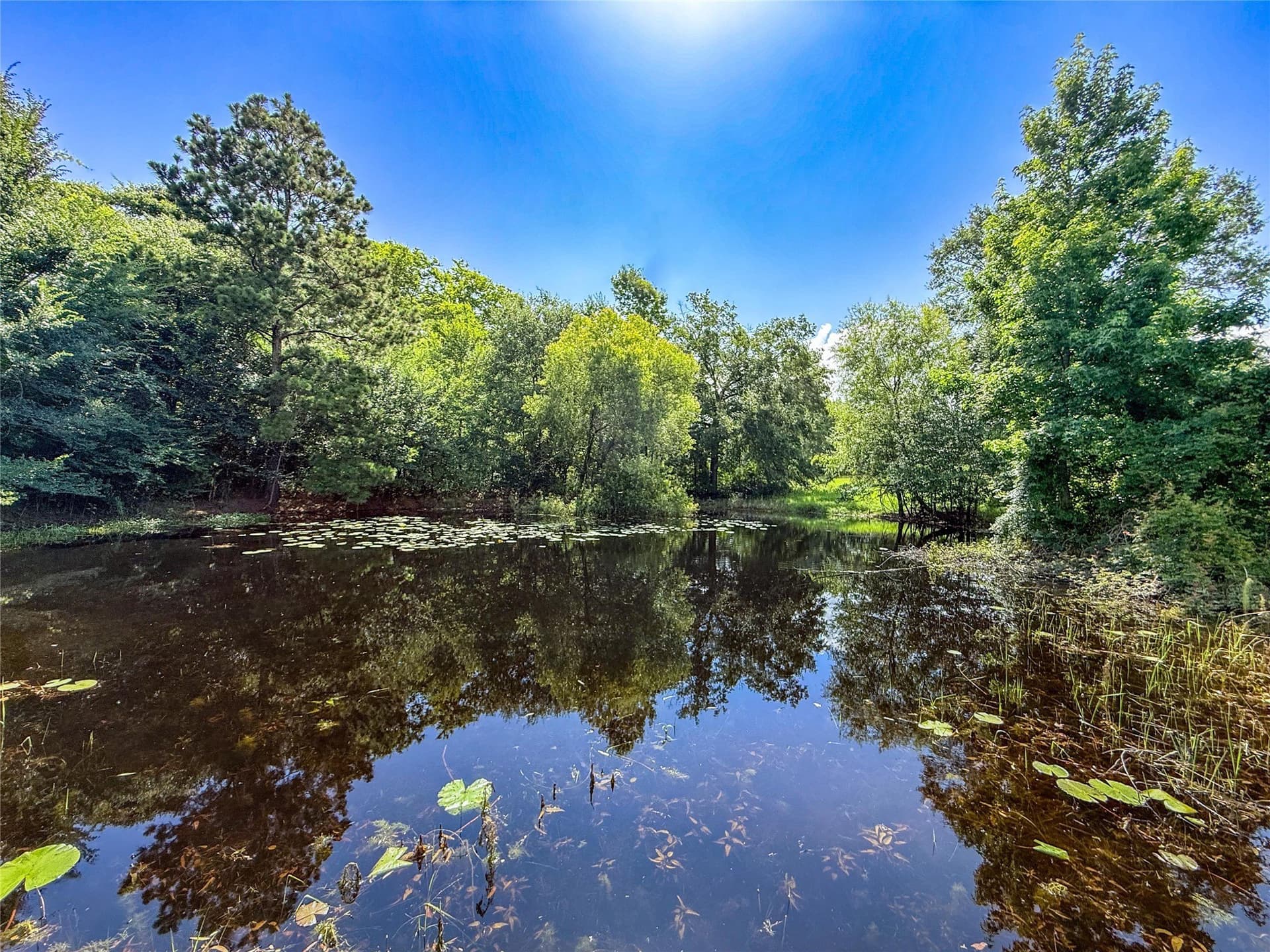 42.5 acres in Houston County - photo 28