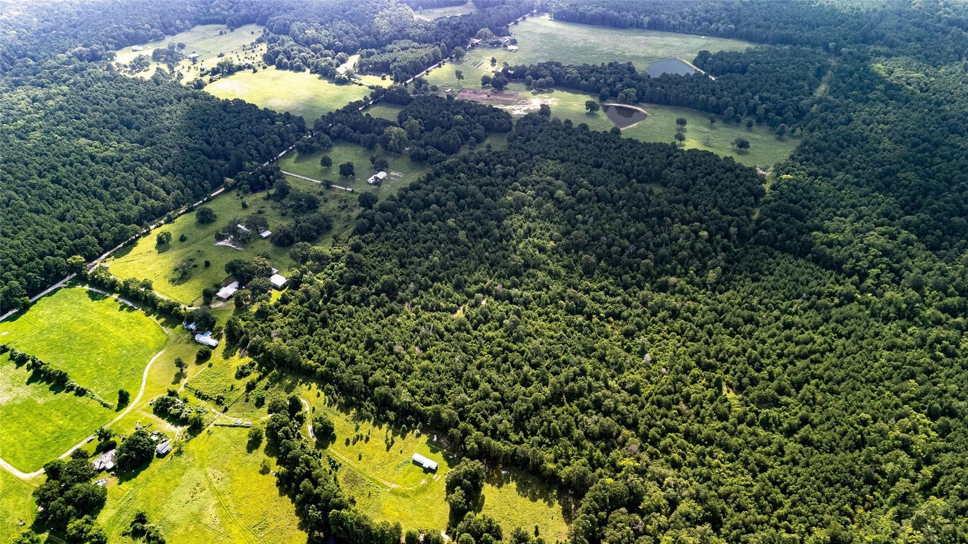 42.5 acres in Houston County - photo 7