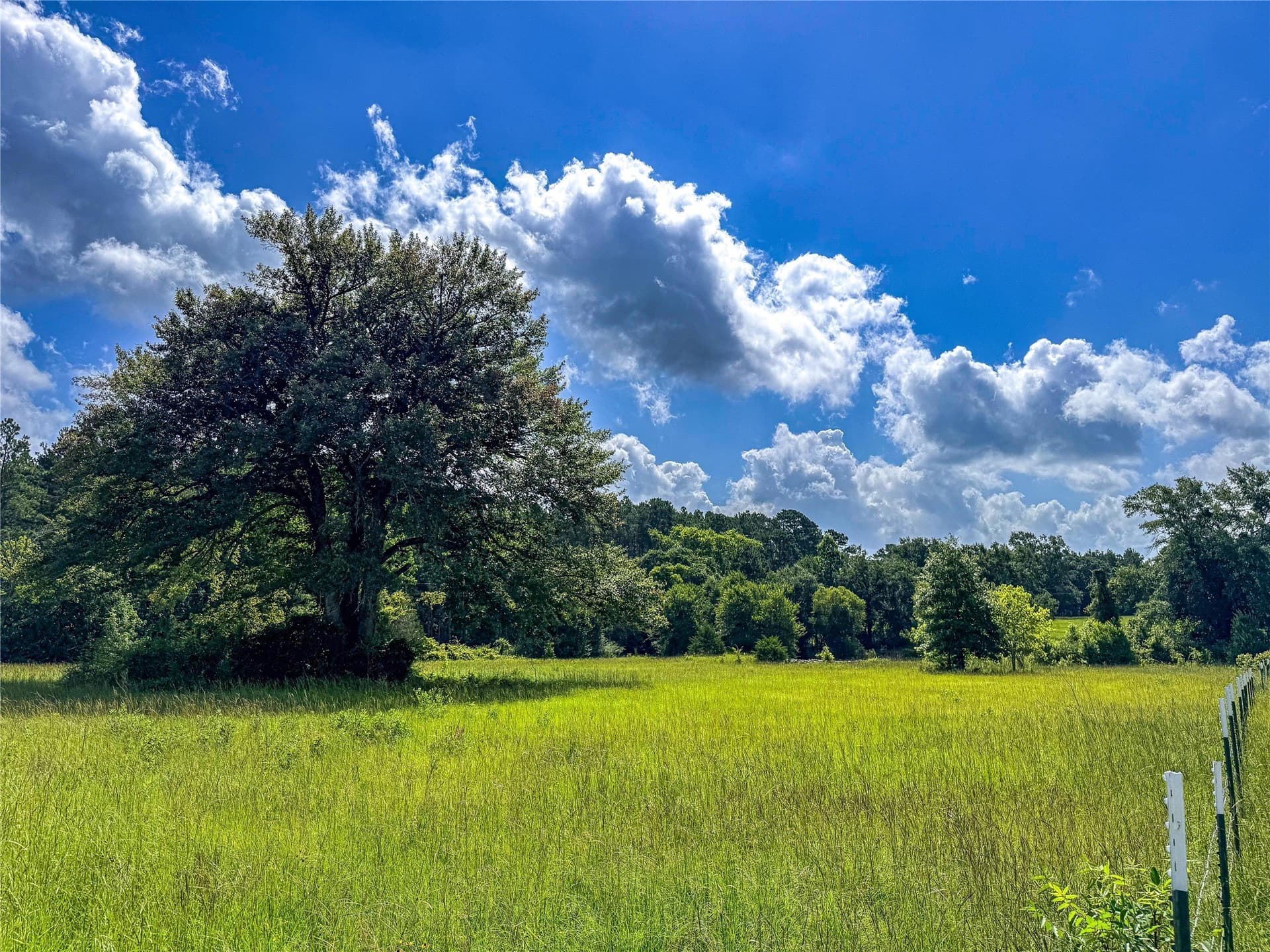42.5 acres in Houston County - photo 26