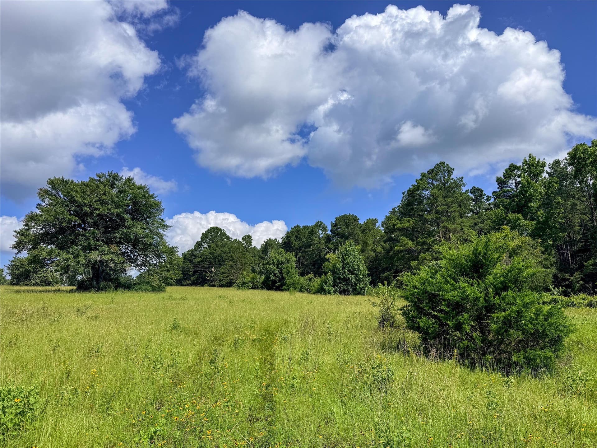 42.5 acres in Houston County - photo 30