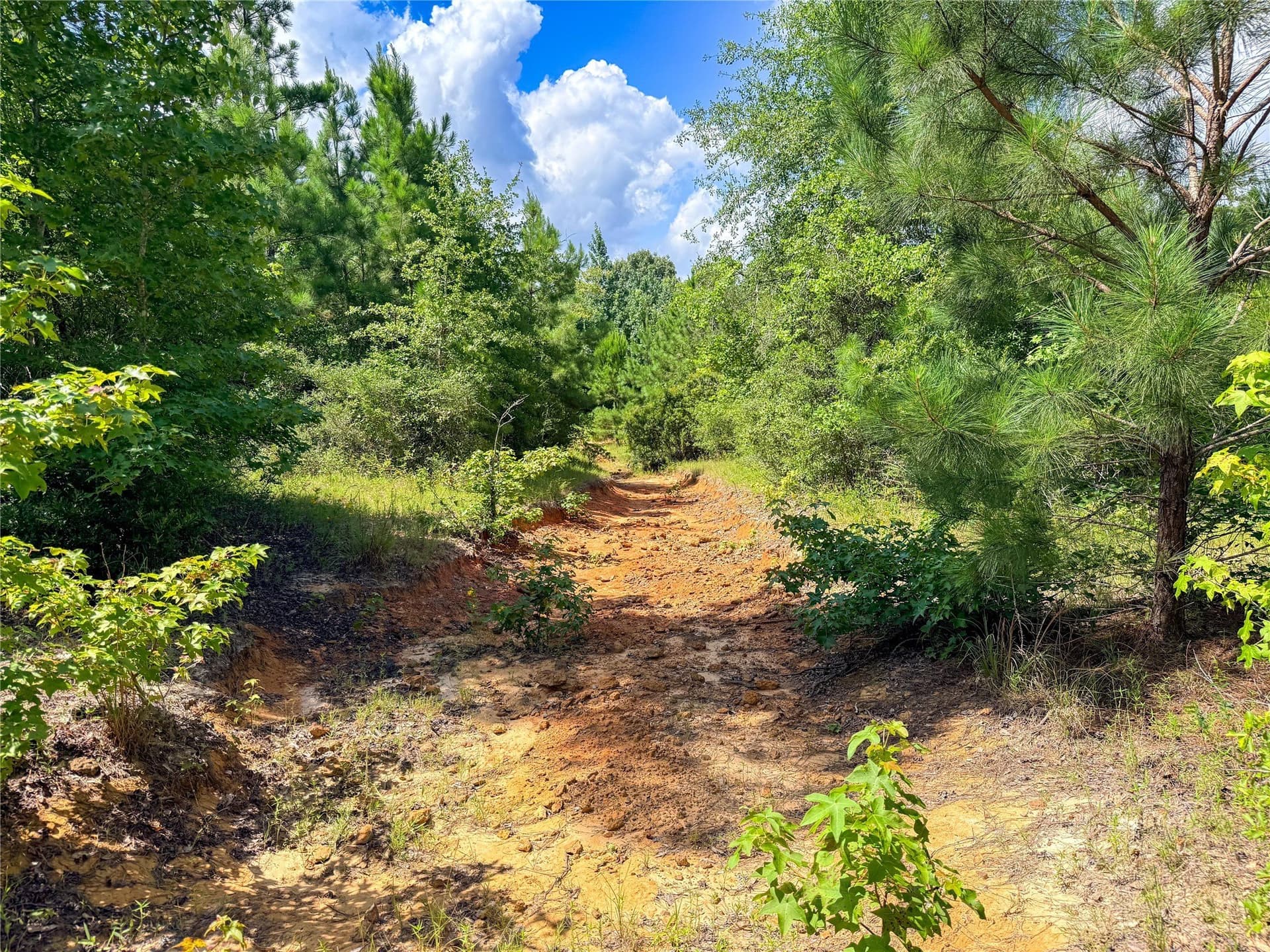 42.5 acres in Houston County - photo 36