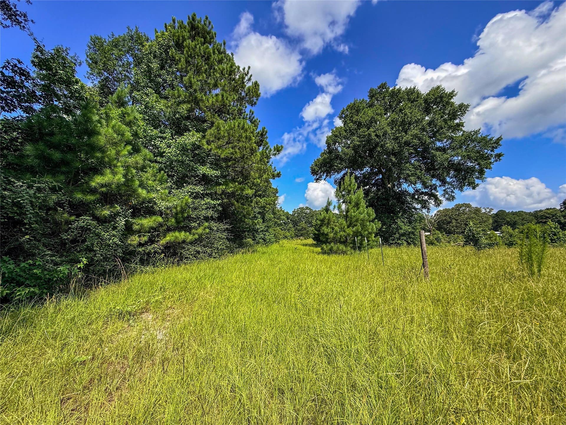 42.5 acres in Houston County - photo 18