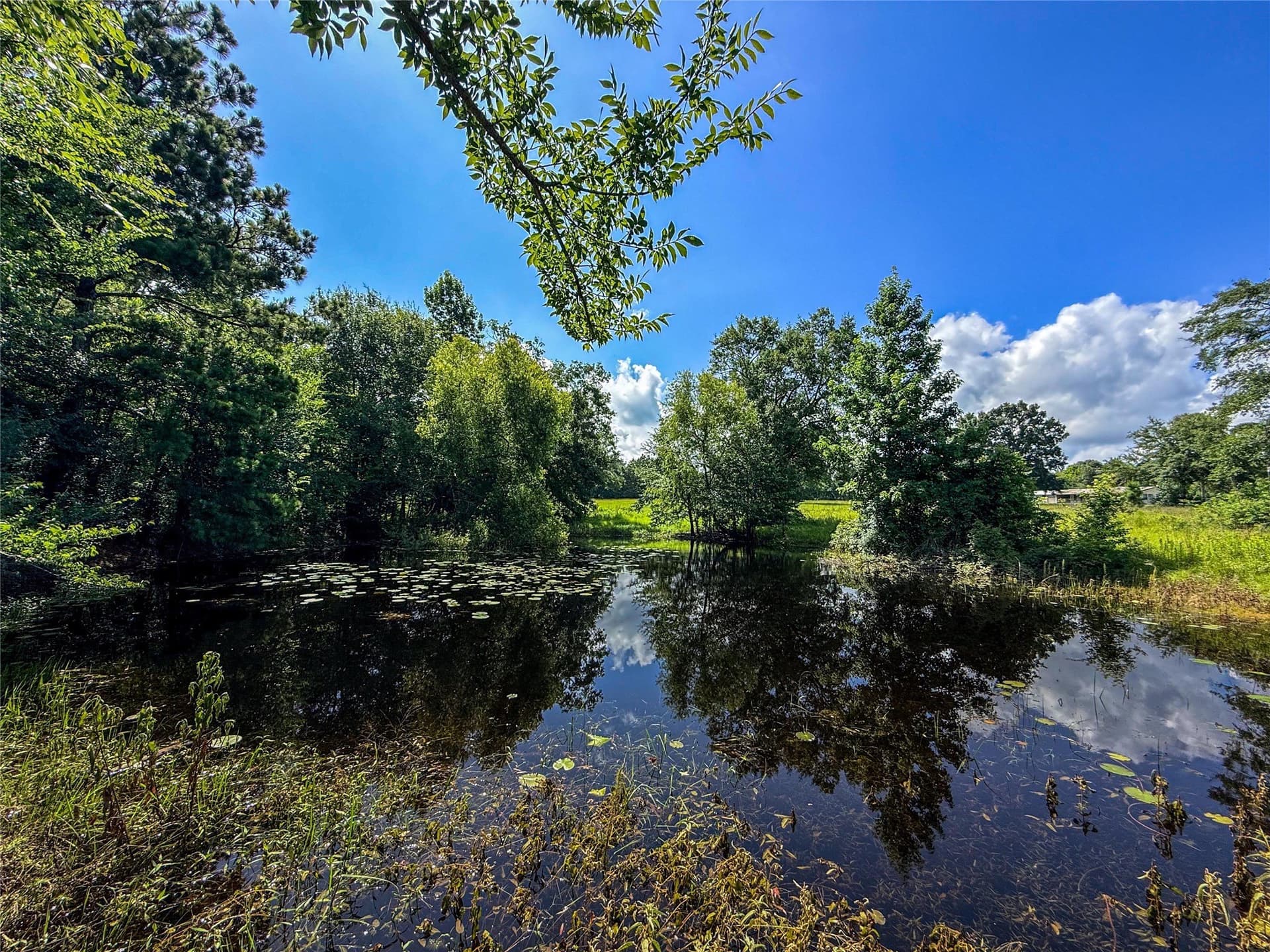 42.5 acres in Houston County - photo 29