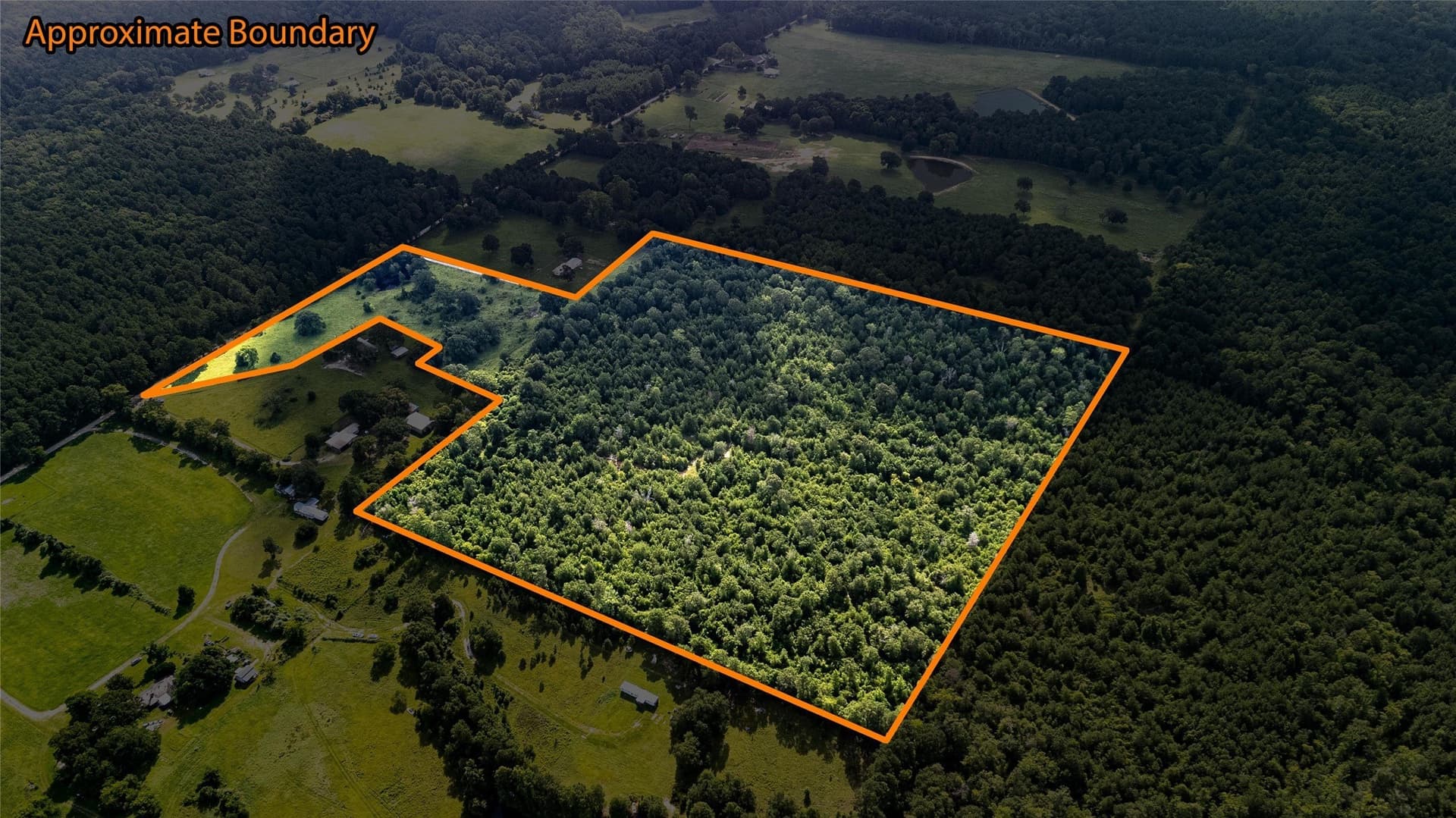 42.5 acres in Houston County - photo 8