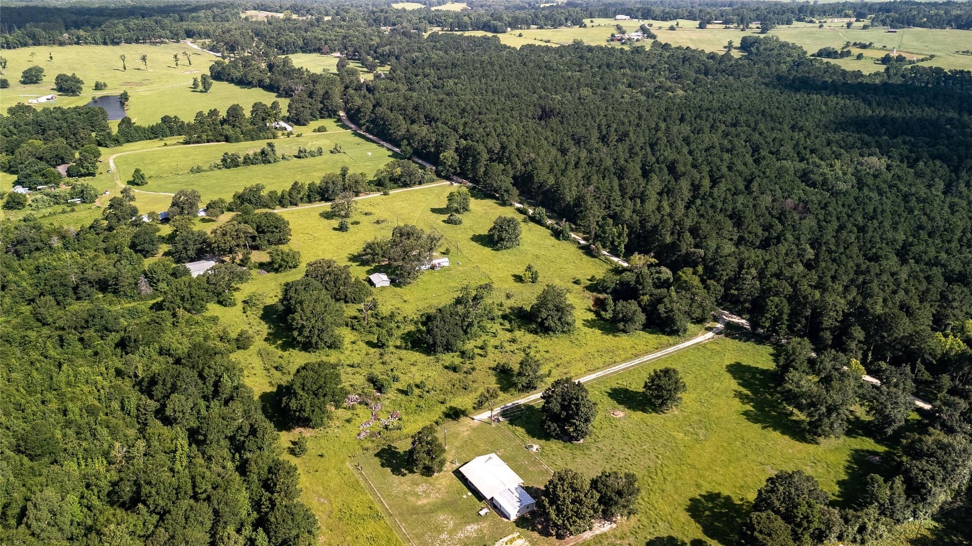 42.5 acres in Houston County - photo 4