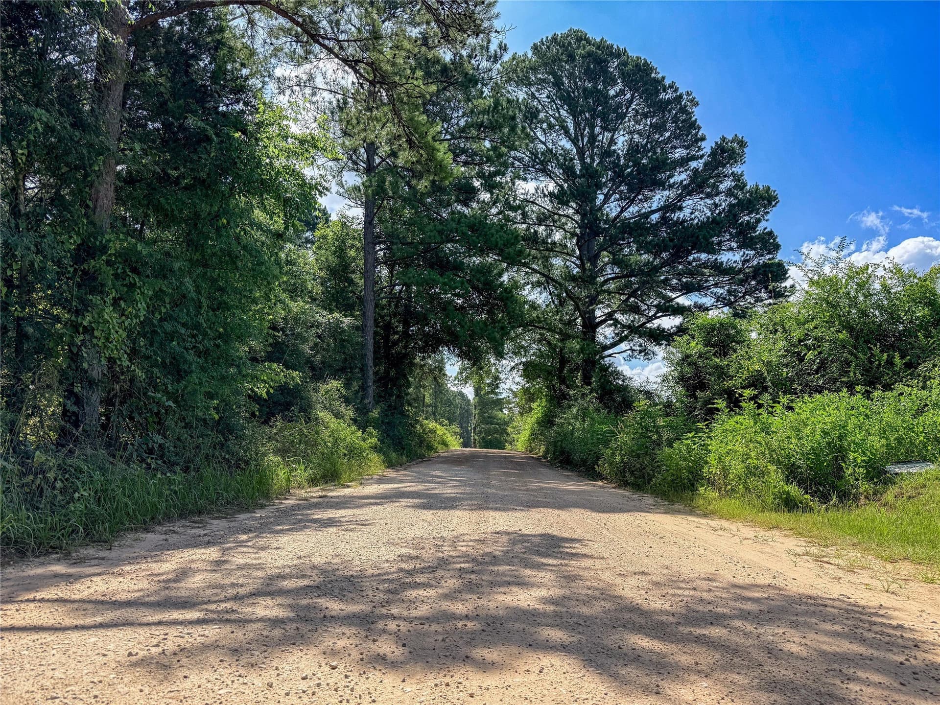 42.5 acres in Houston County - photo 23