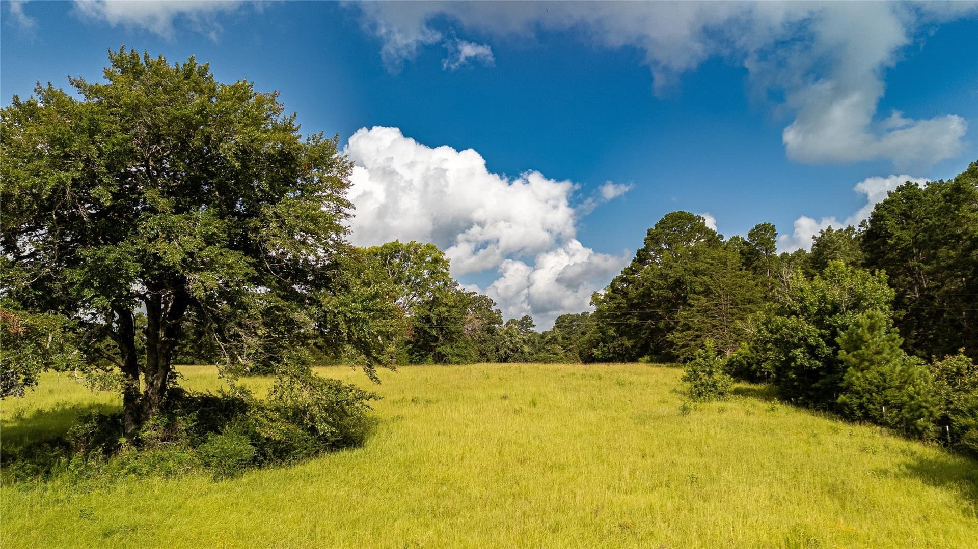 42.5 acres in Houston County - photo 17