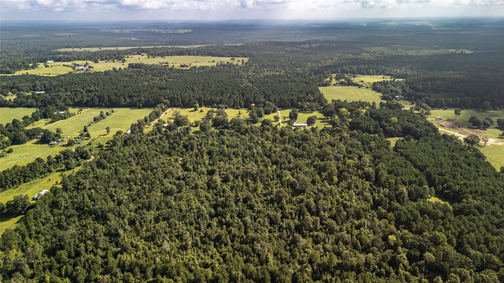 42.5 acres in Houston County - photo 5