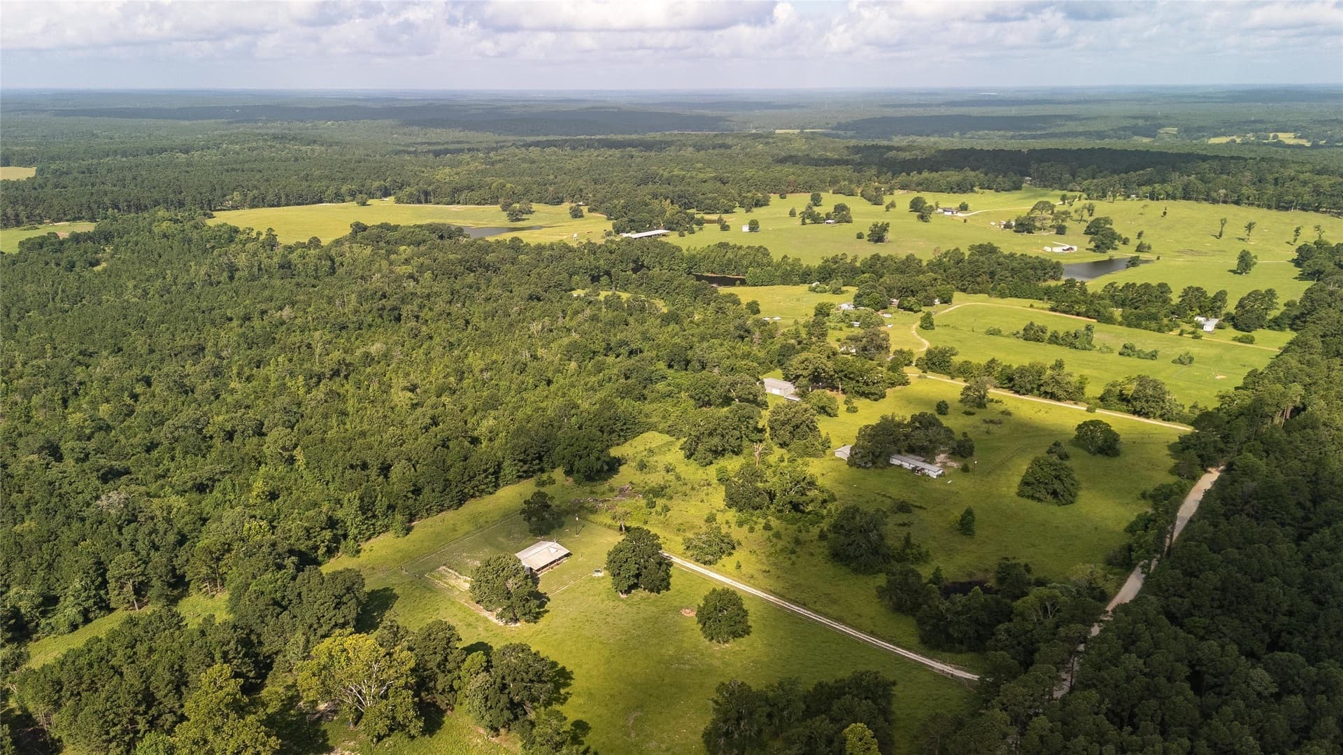 42.5 acres in Houston County - photo 3