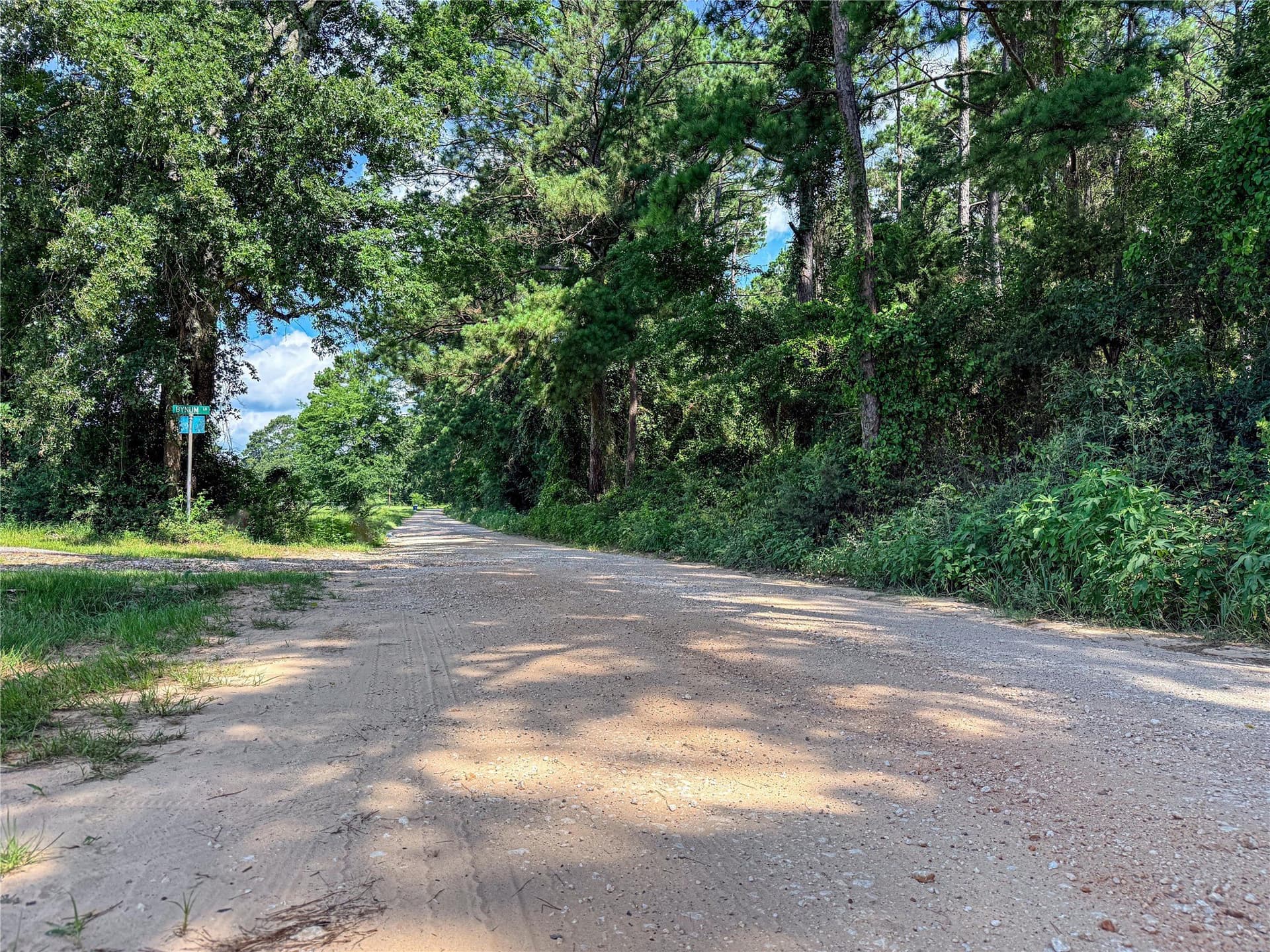 42.5 acres in Houston County - photo 25
