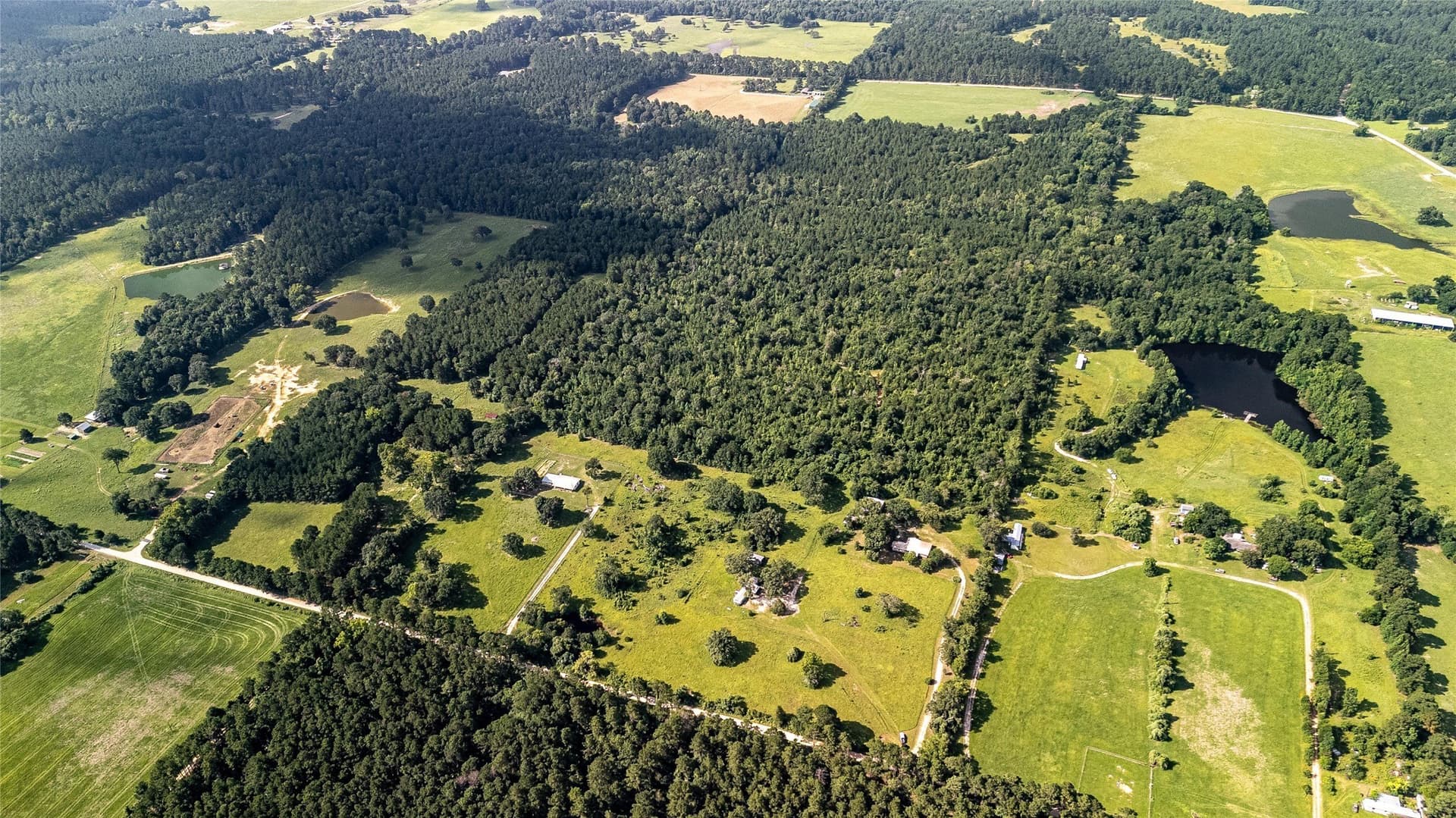 42.5 acres in Houston County - photo 13
