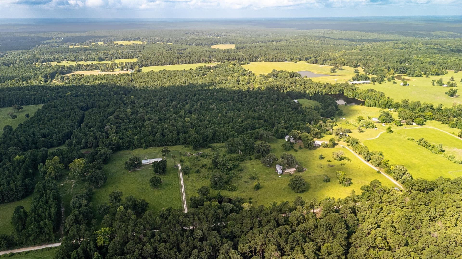 42.5 acres in Houston County - photo 2