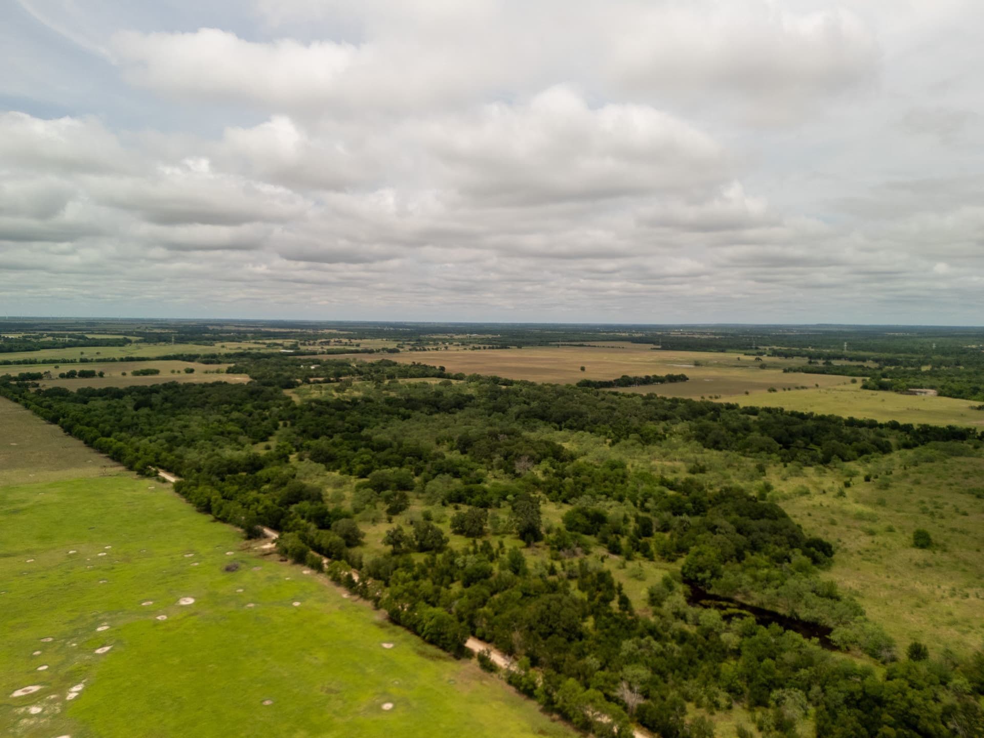 10.01 acres in Falls County - photo 9