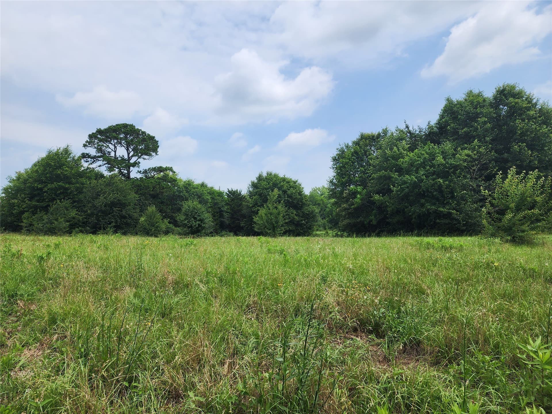 98.34 acres in Wood County - photo 4
