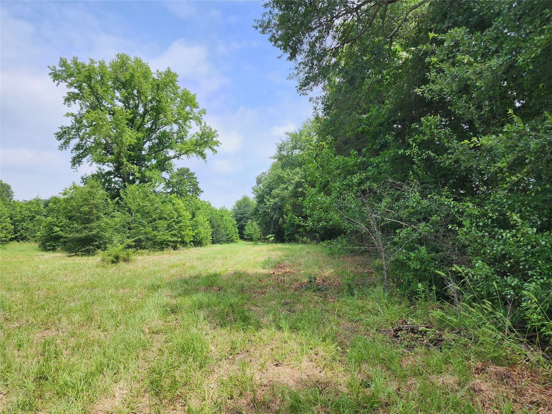 98.34 acres in Wood County - photo 14