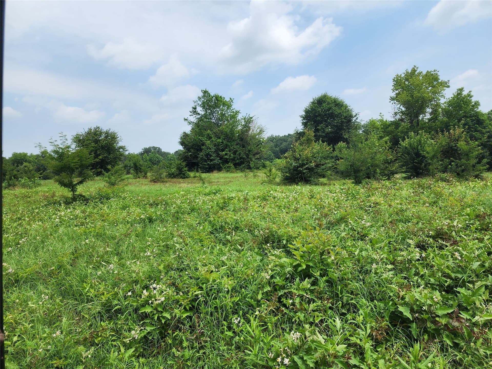 98.34 acres in Wood County - photo 5