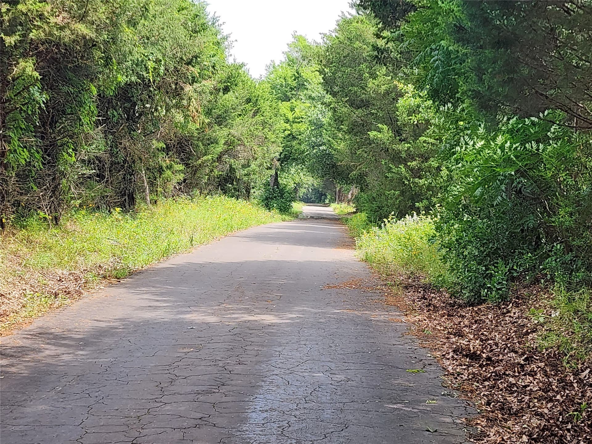 98.34 acres in Wood County - photo 8