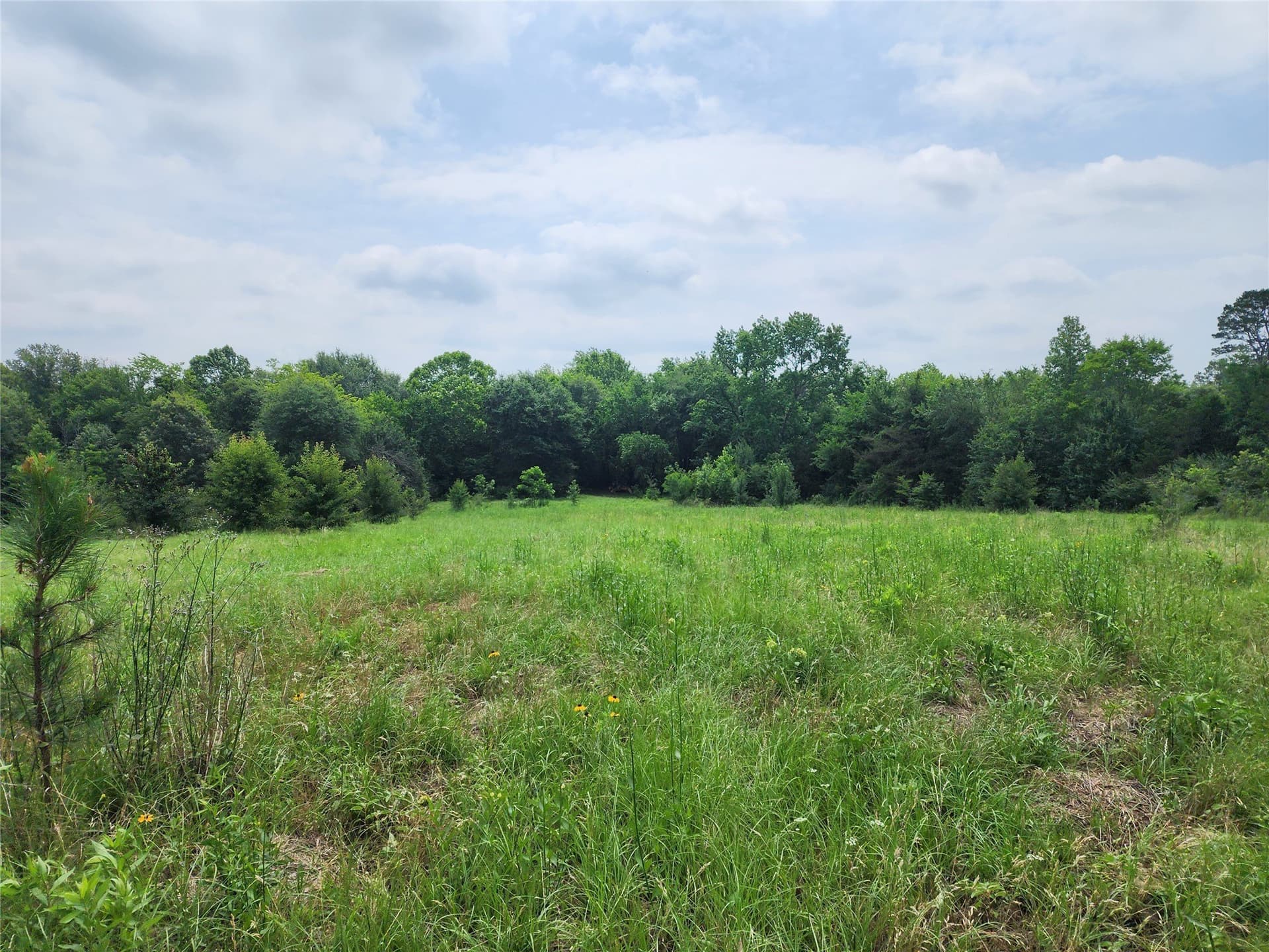 98.34 acres in Wood County - photo 13