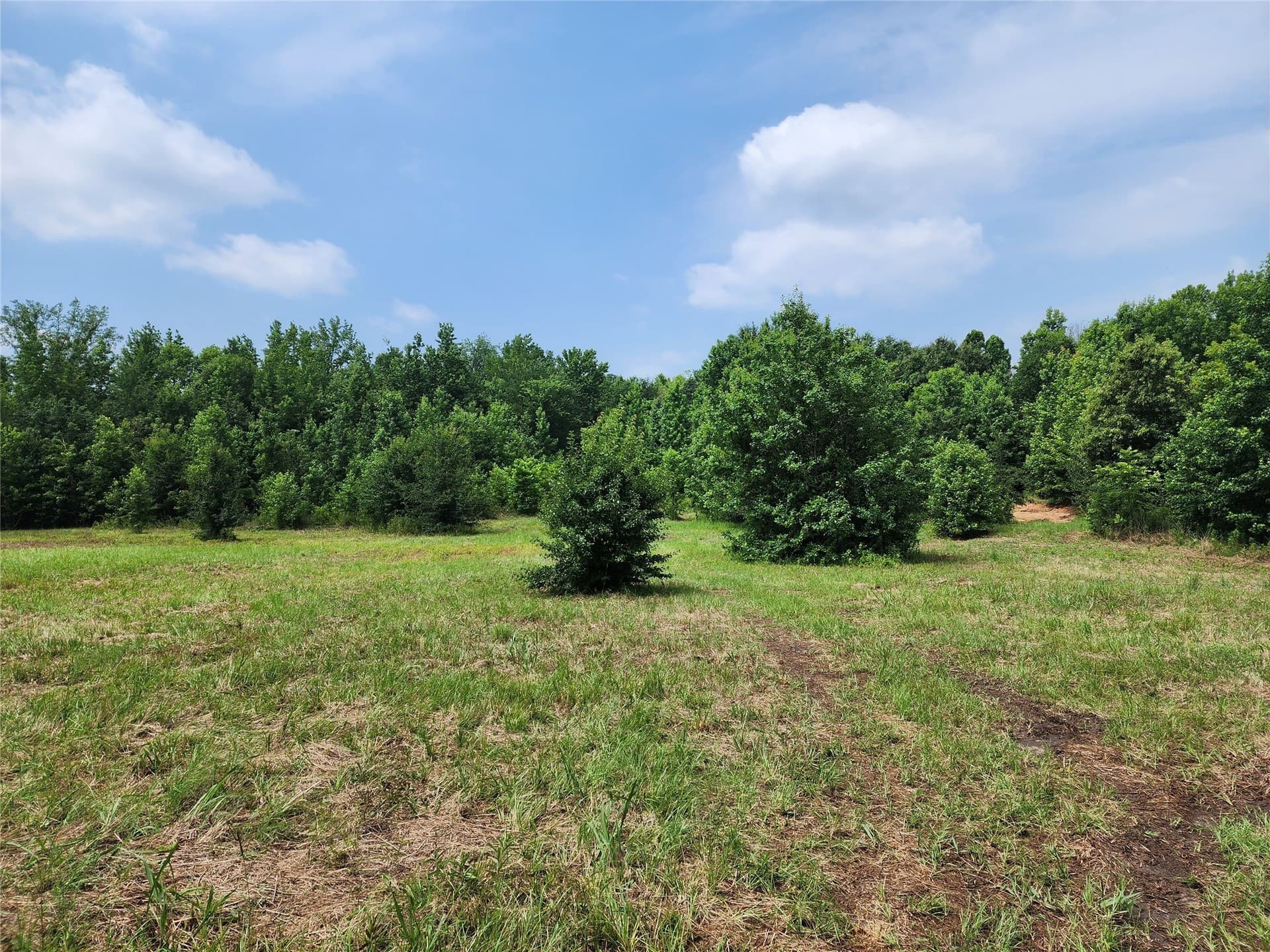 98.34 acres in Wood County - photo 2