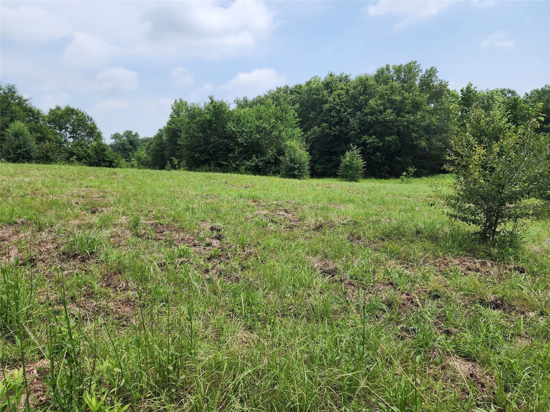 98.34 acres in Wood County - photo 3
