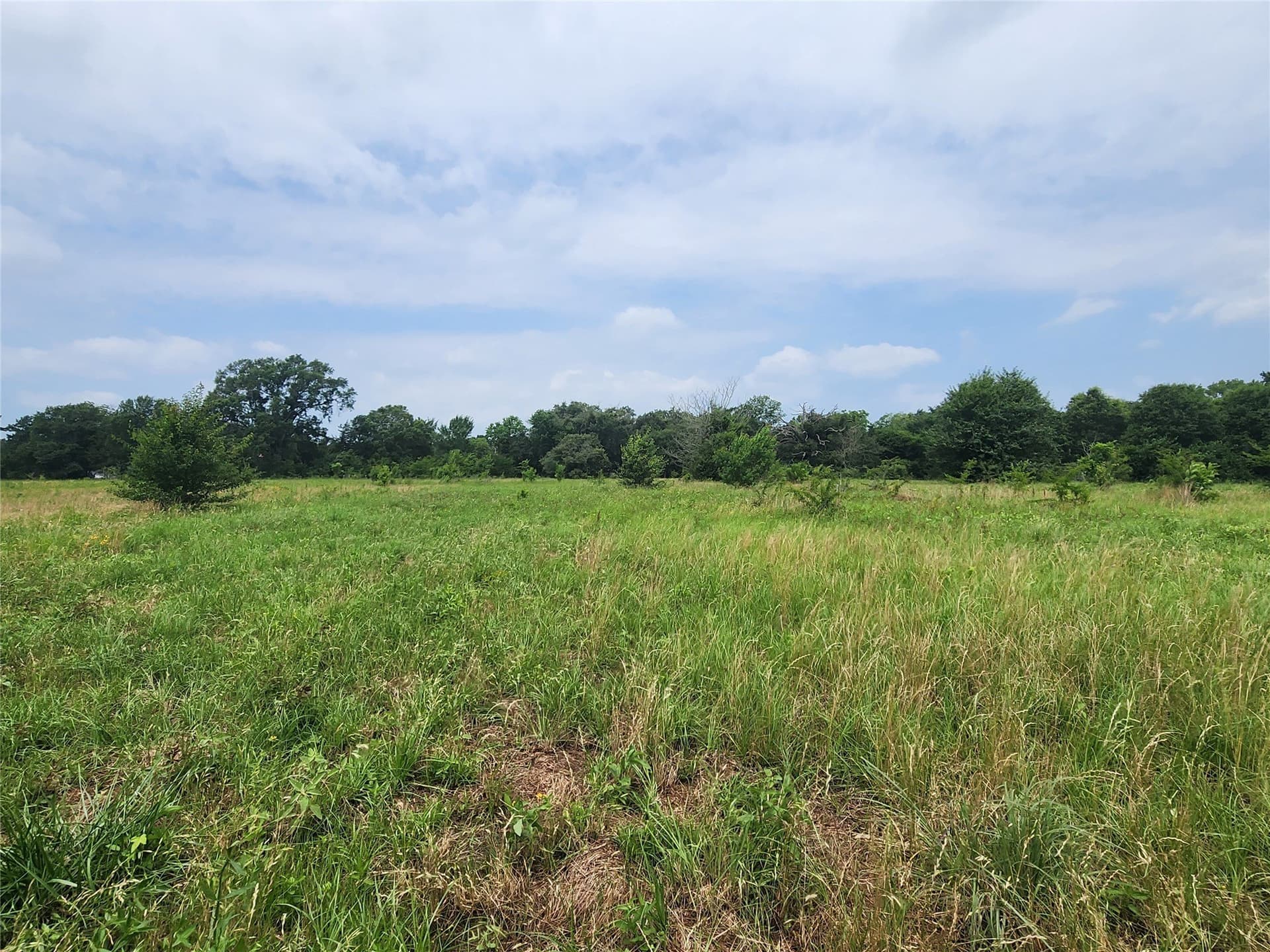 98.34 acres in Wood County - photo 6