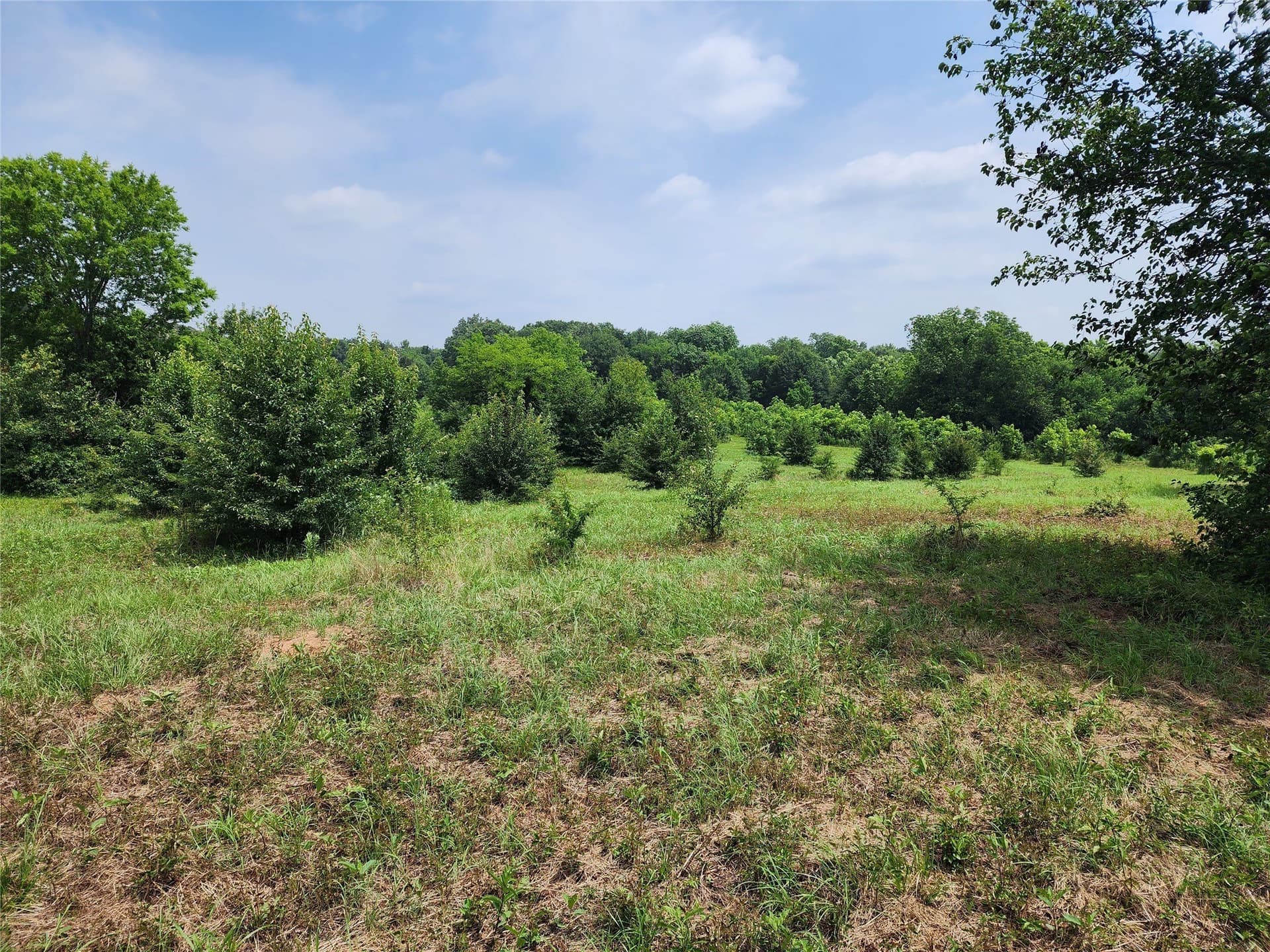 98.34 acres in Wood County - photo 10