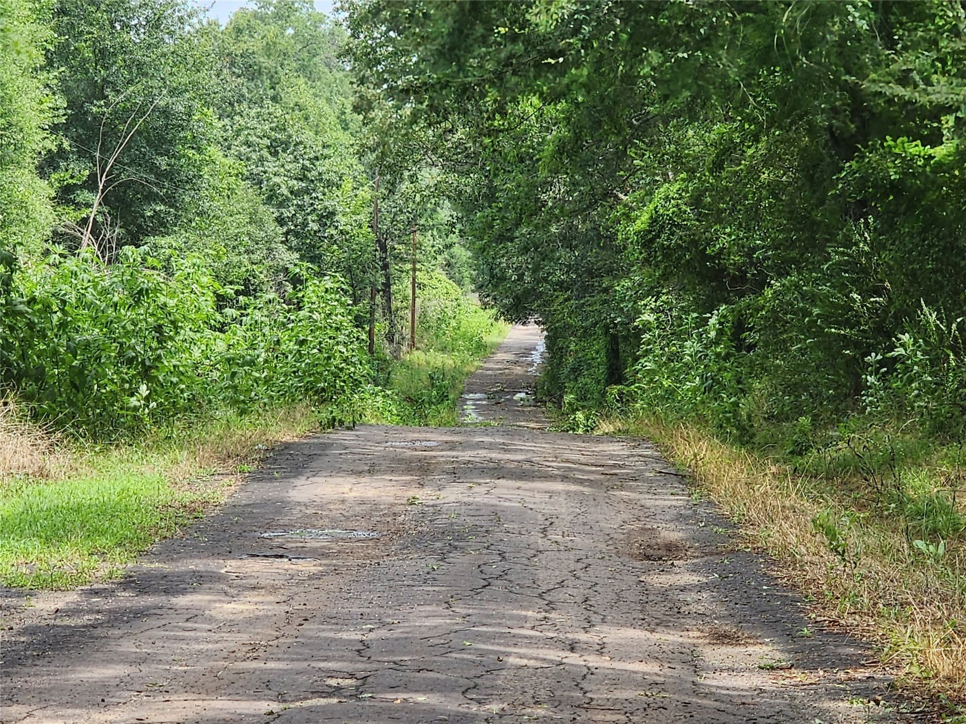 98.34 acres in Wood County - photo 7