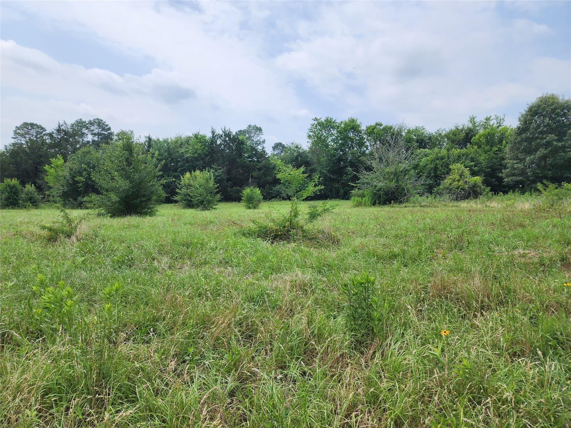 98.34 acres in Wood County - photo 11