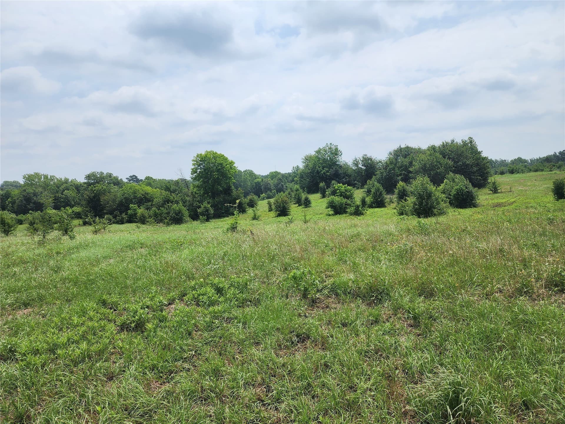 98.34 acres in Wood County - photo 9