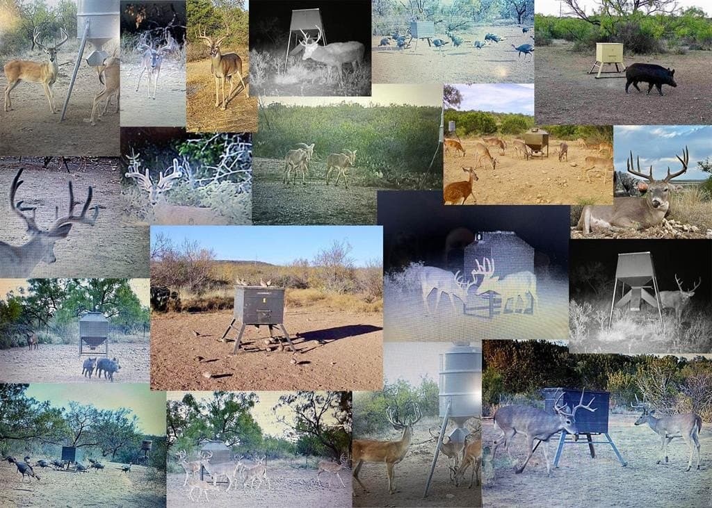 315.54 acres in Coleman County gallery image 2