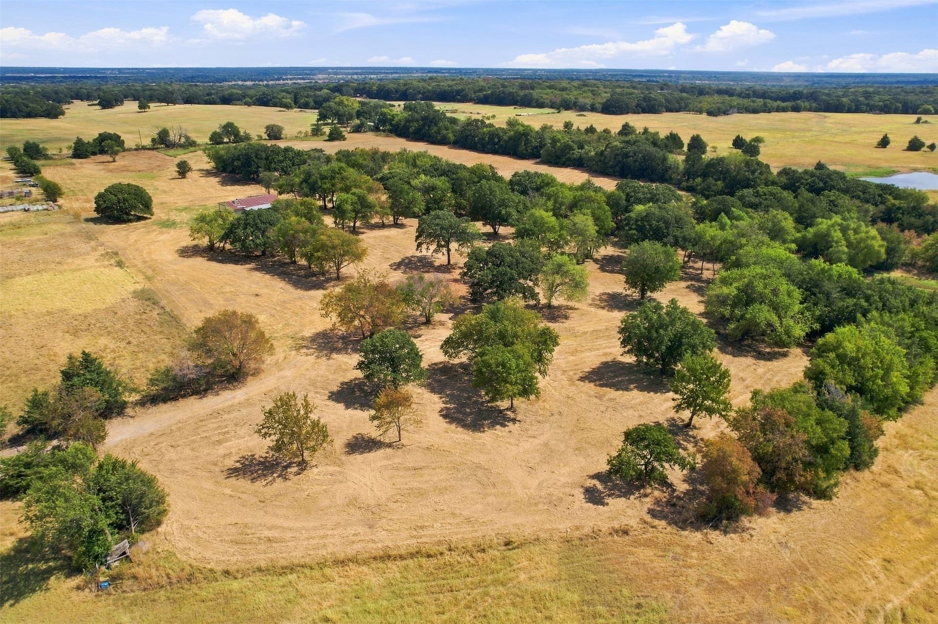 17.67 acres in Grayson County - photo 13