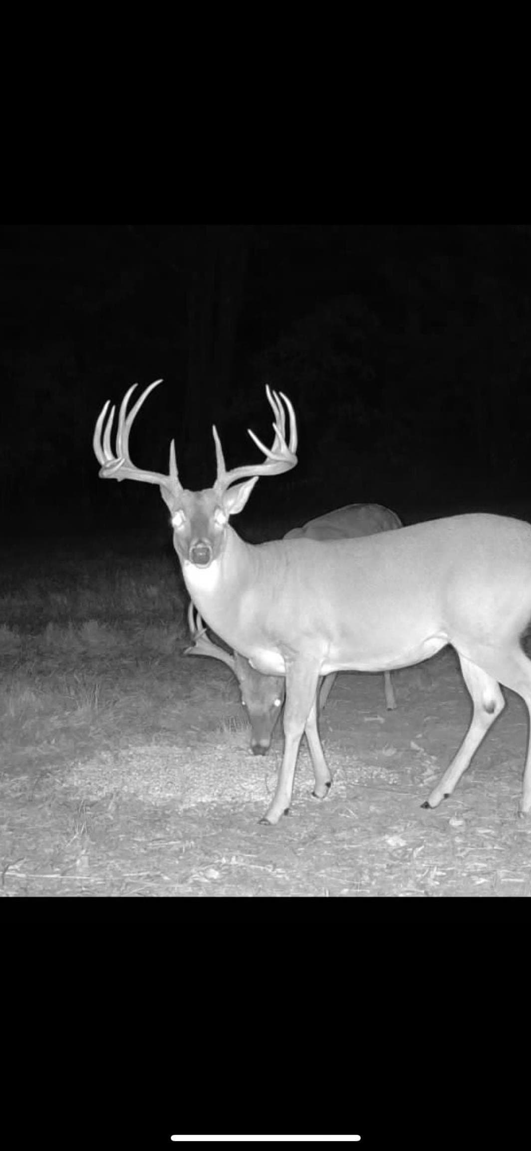 35.22 acres in Cass County gallery image 2