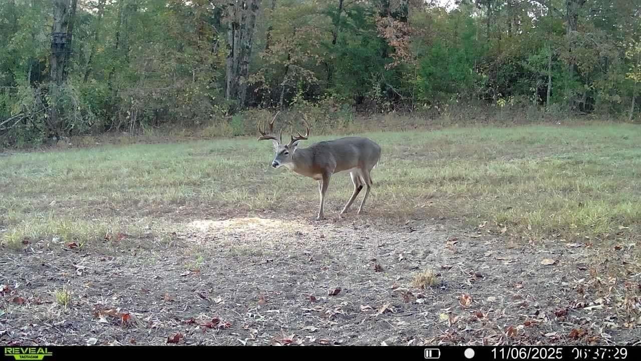 35.22 acres in Cass County featured view