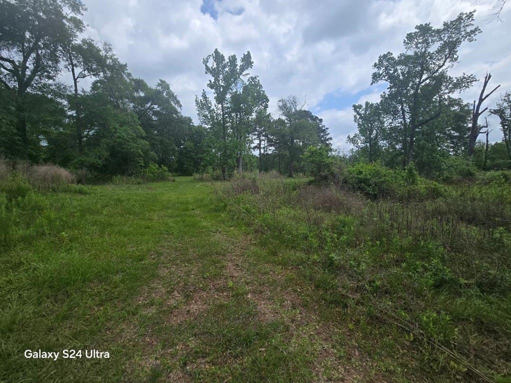 33.25 acres in Texas County gallery image 4