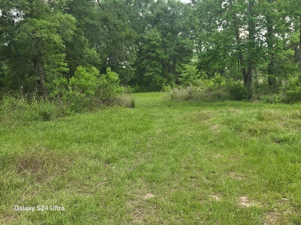 33.25 acres in Texas County featured view